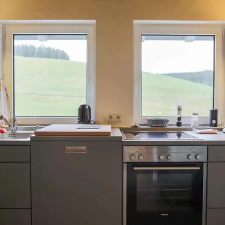 Kuckucksnest Schwaerzenbach Appartement *